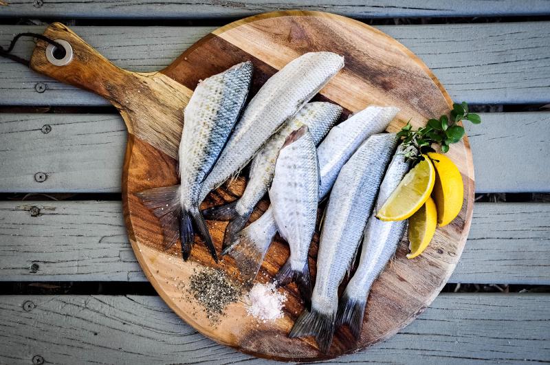 Guide pratique français-hébreu des Poissons en Israël