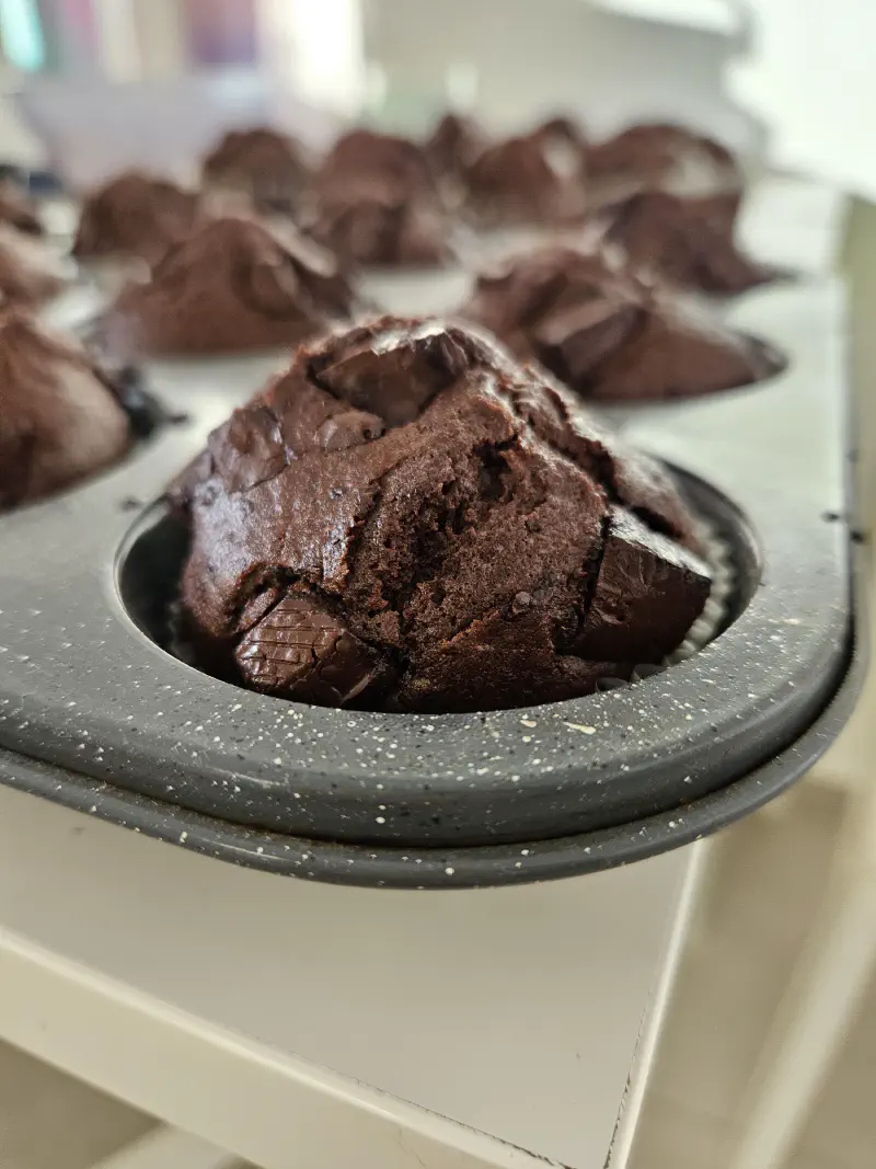 Muffins tout chocolat [sans lactose]