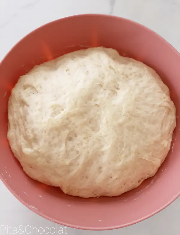 Naan bread - after rising