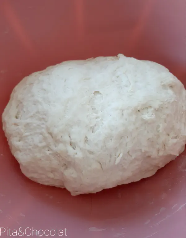 Naan bread - before rising