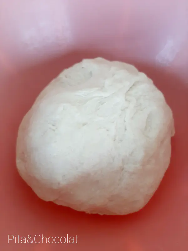 Naan bread - before rising