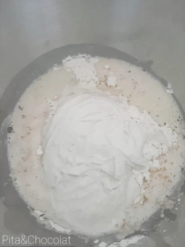 Naan bread - before rising