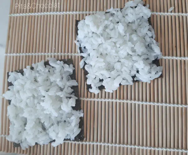 Salmon sushi sandwich