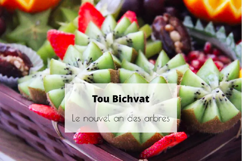 Tou bishvat 2025 | Le nouvel an des arbres
